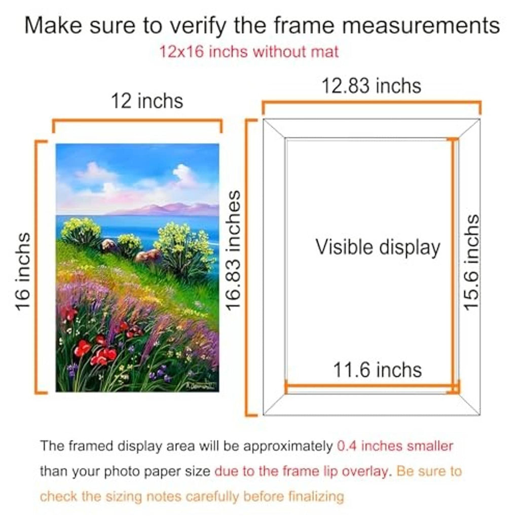12x16 frame sizing diagram, visible display area and border measurements.