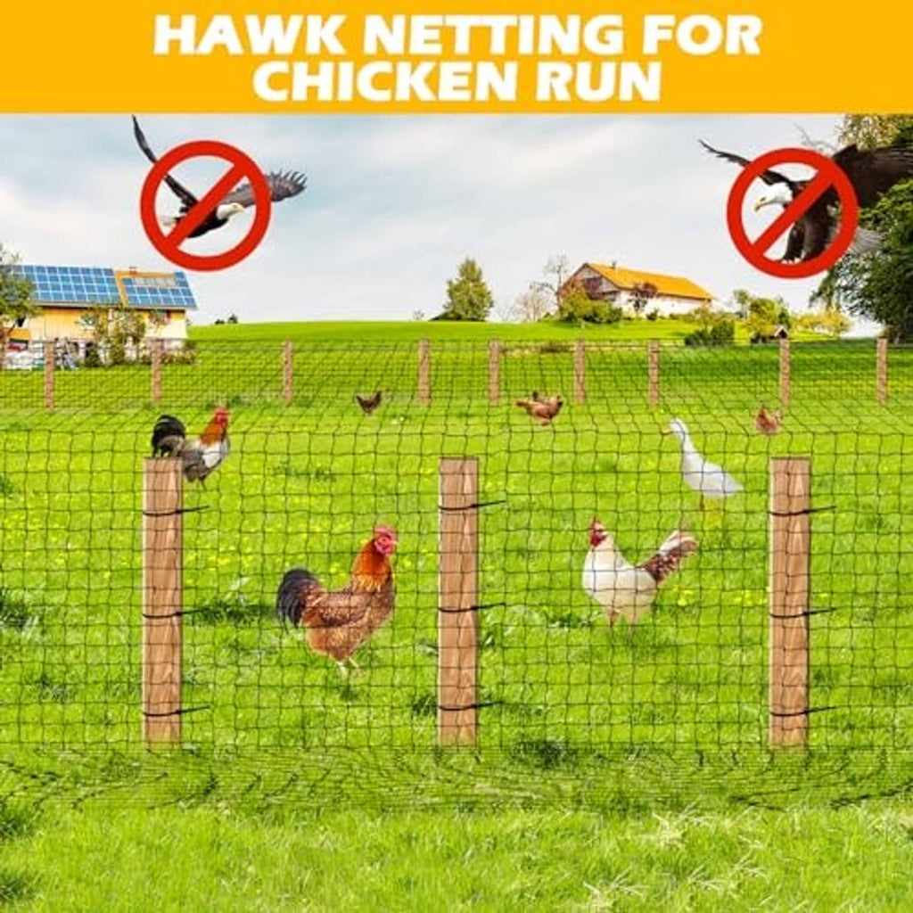 Outdoor chicken run covered with hawk netting mesh fence and birds inside