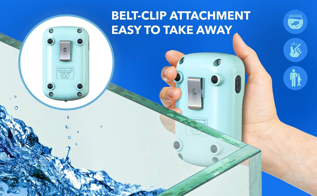 Mint air pump with belt-clip attachment on the back for easy carrying