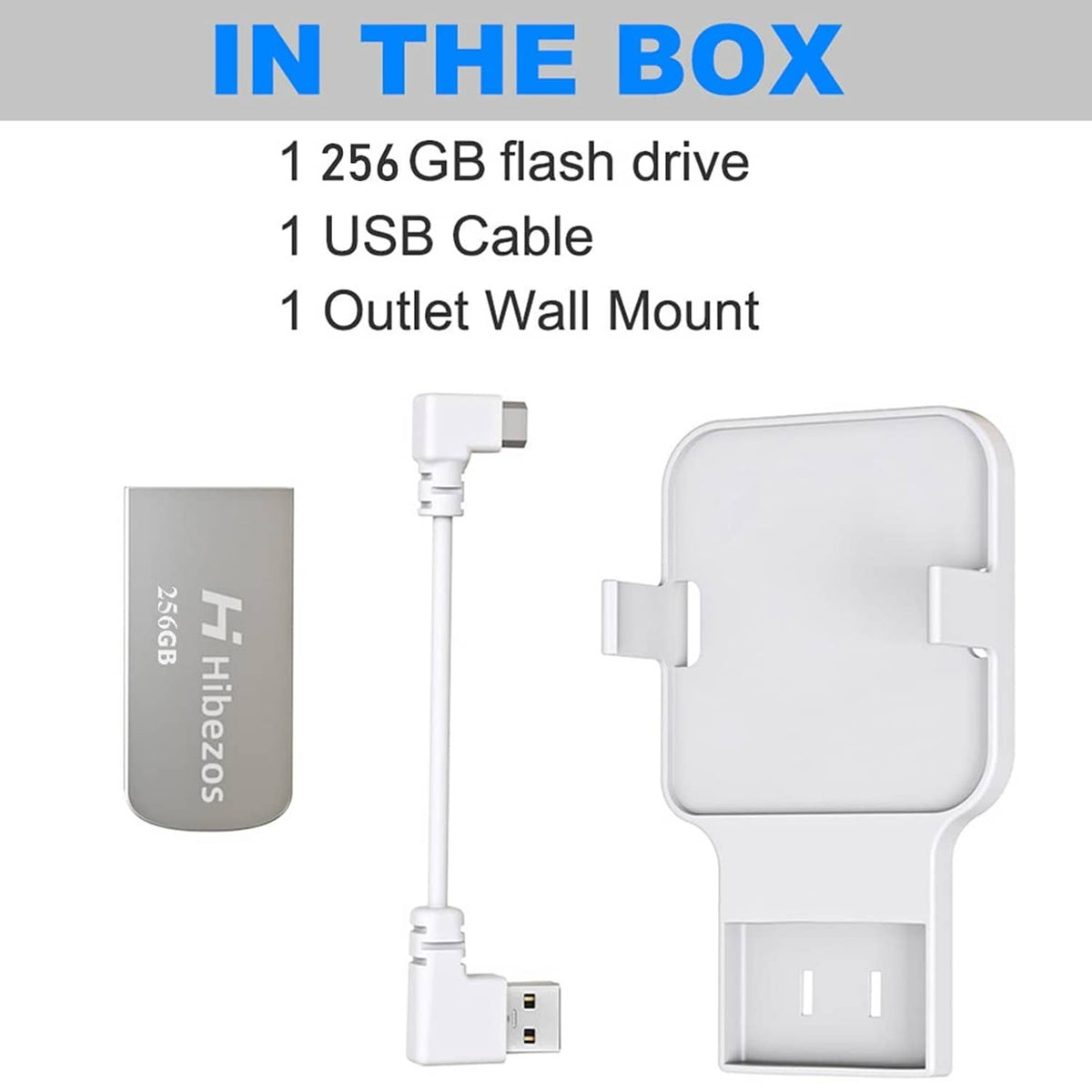 Set includes white outlet wall mount, USB cable, and 256GB USB thumb drive