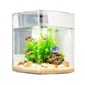 2-gallon small plastic aquarium tank with LED light, fish and live plants inside