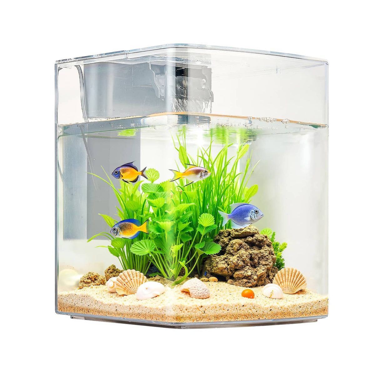 2-gallon small plastic aquarium tank with LED light, fish and live plants inside