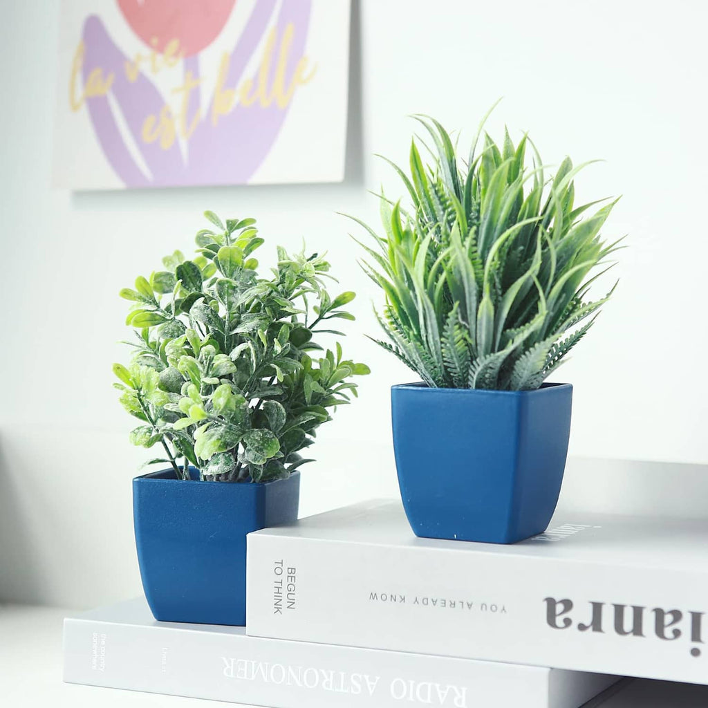 Two artificial plants in blue pots on tabletop: leafy shrub and spiky eucalyptus