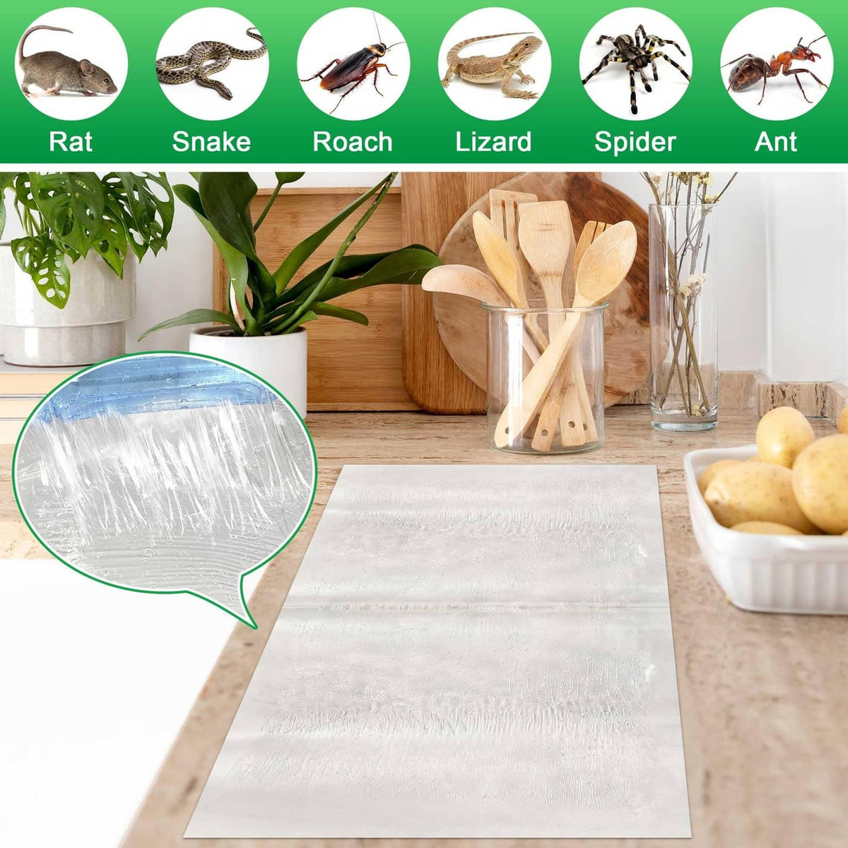 Large white glue trap sheet with pest icons across the top