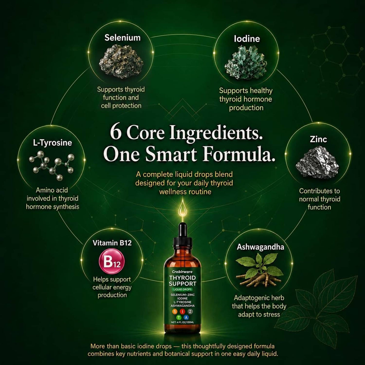 Green ingredient infographic for thyroid liquid drops with six core nutrients