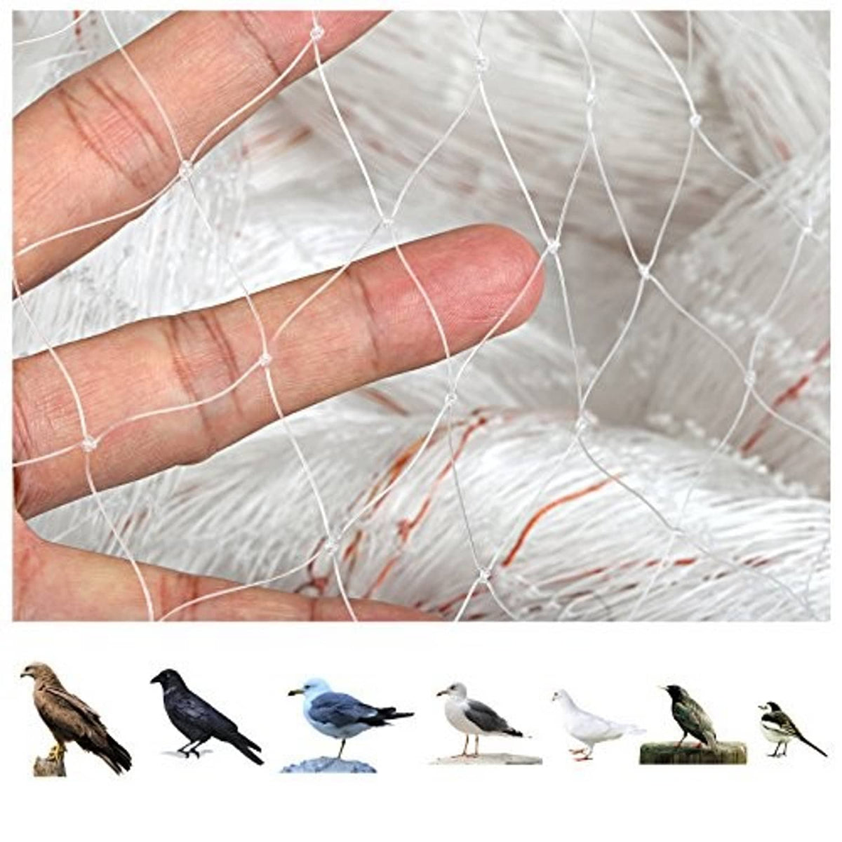 Close-up of clear bird netting mesh lines and knots over fingers; fine grid texture