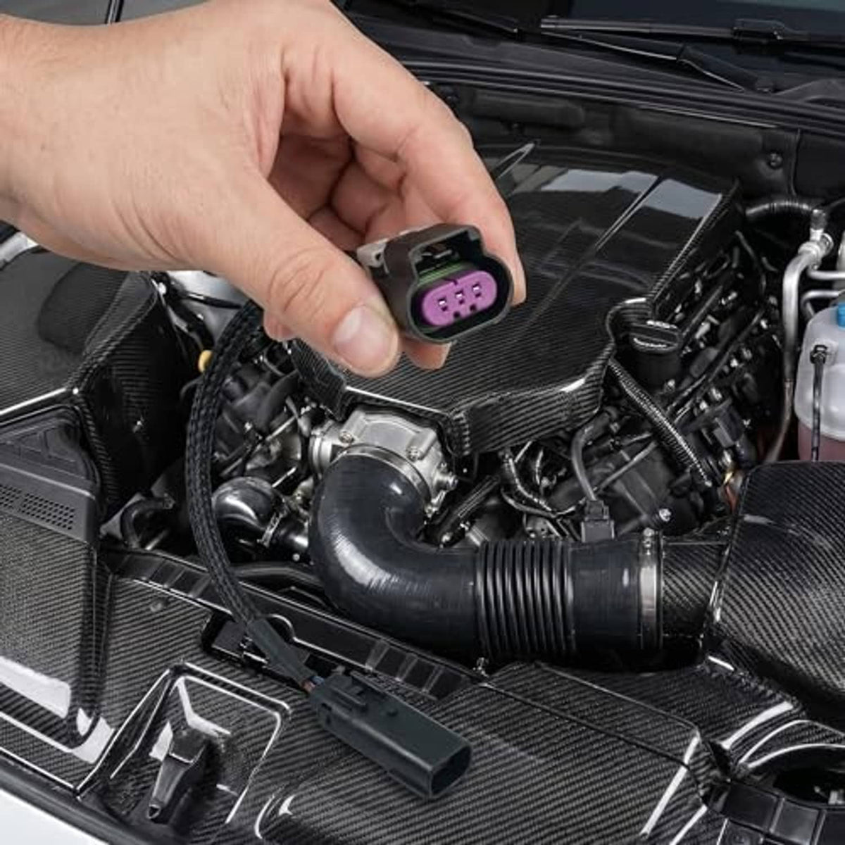 Hand installing headlight wiring harness adapter with purple 3-pin connector