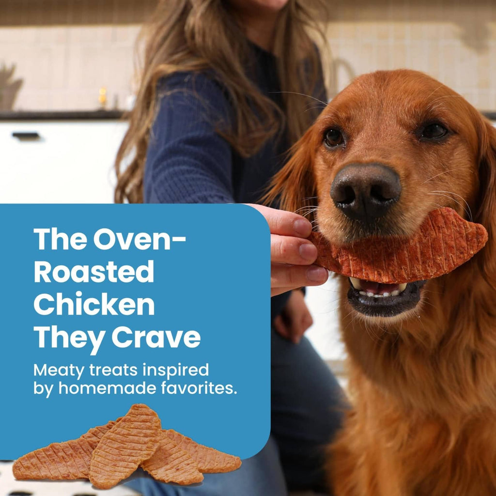 Golden dog sniffing an orange-brown chicken jerky treat held by a person