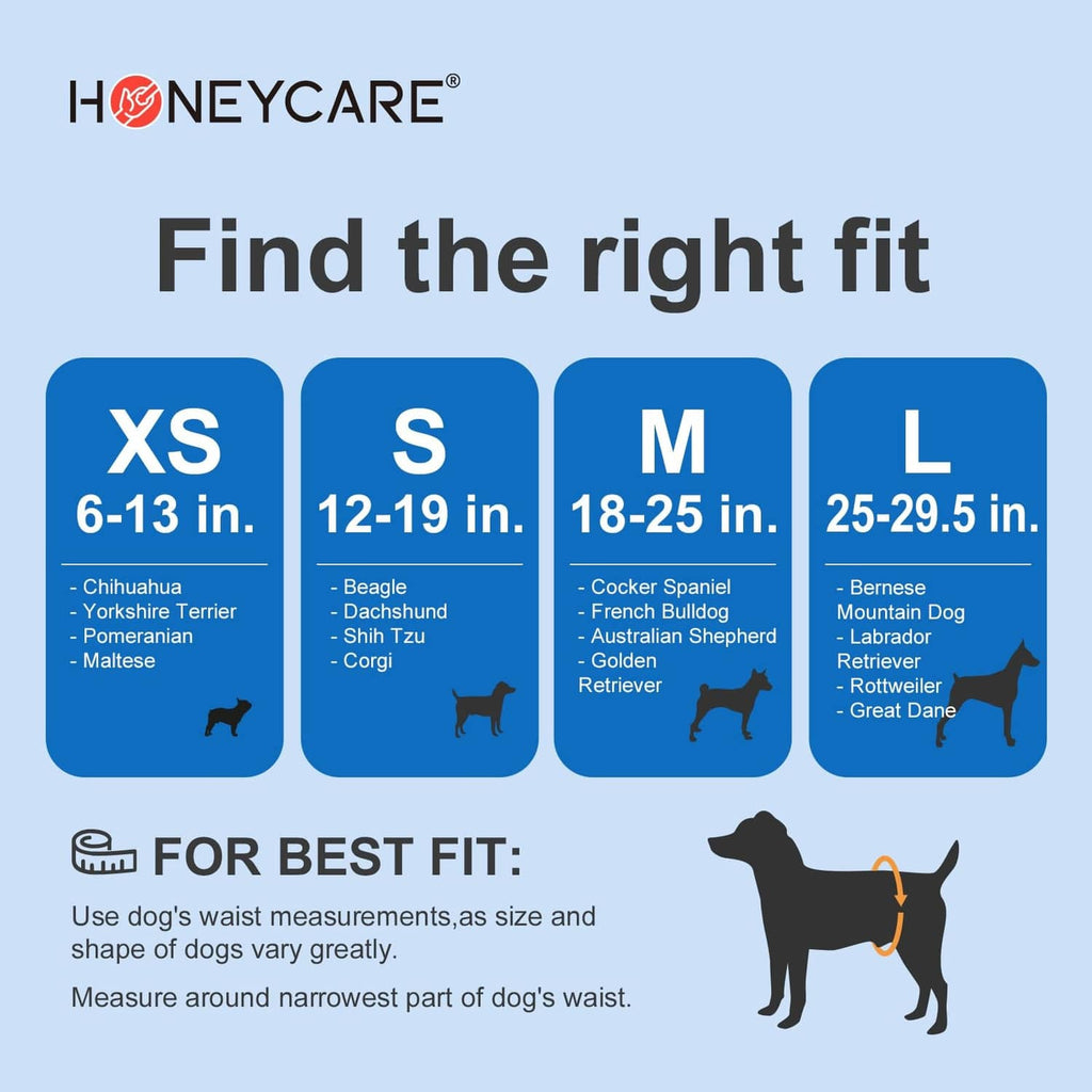 Disposable male dog wrap size chart for XS to L, white wrap graphic.