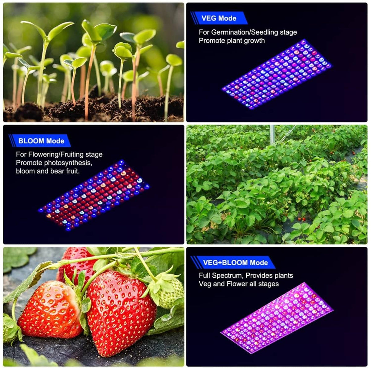 Grow light mode tiles showing germination, bloom, and veg+blossom blue-purple LEDs
