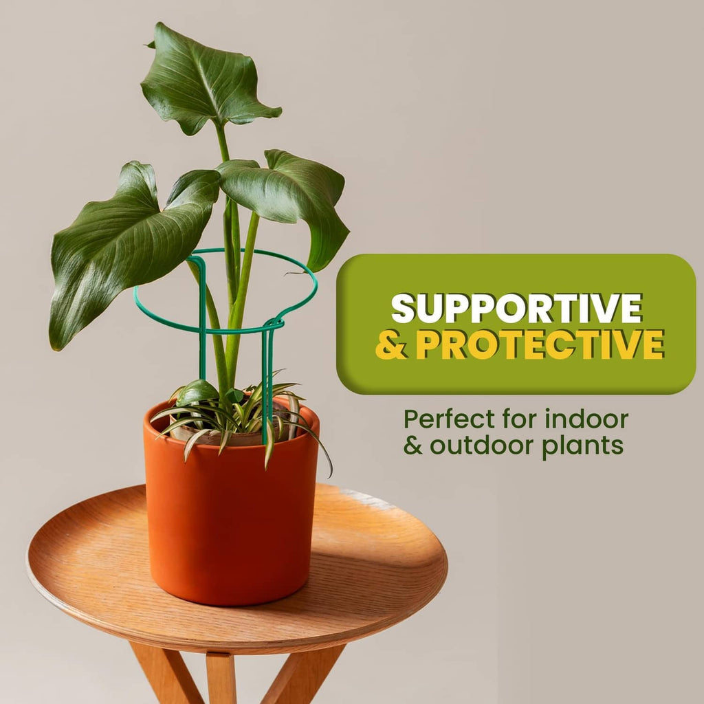 Green plant support stakes for a potted plant with protective ring frame