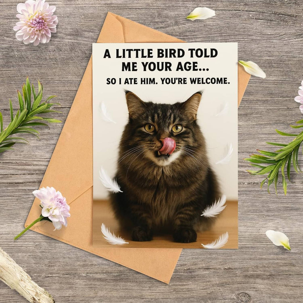 Funny birthday card with tabby cat and feathers, kraft envelope on wooden surface
