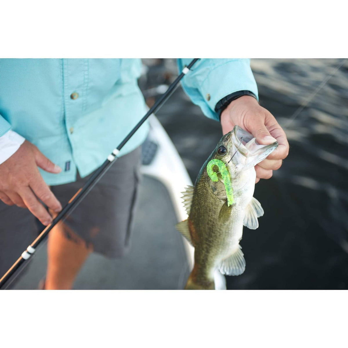 Angler holding caught fish with baited hook and fishing line