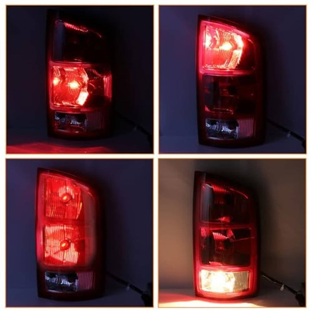 Rear tail light assembly showing illuminated red and clear lens sections