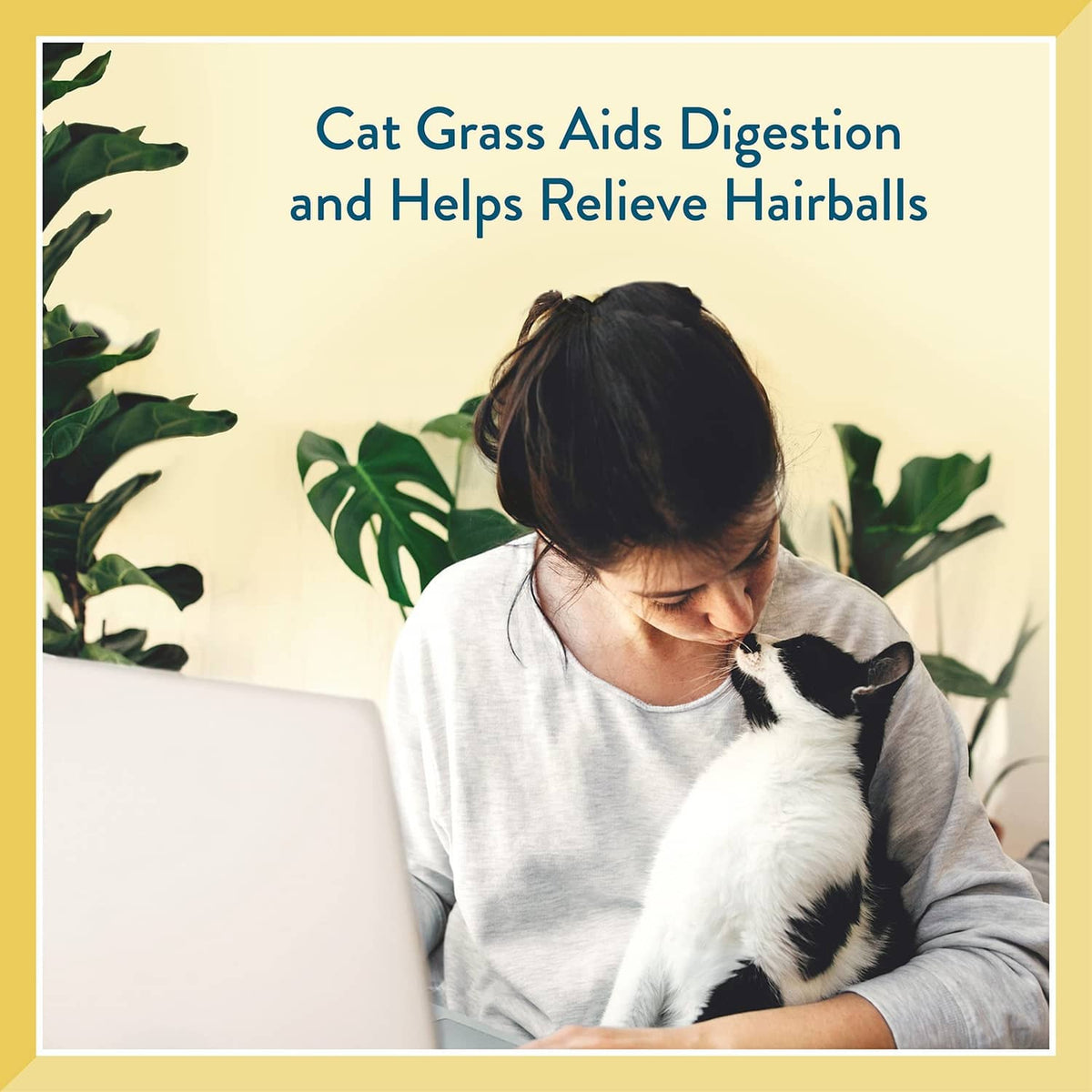 Cat grass digestive relief graphic with a black-and-white cat