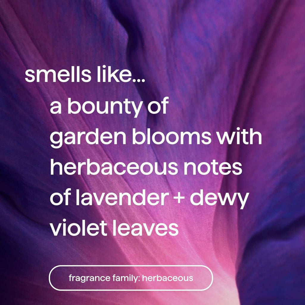 Violet and lavender candle scent promo on purple fabric