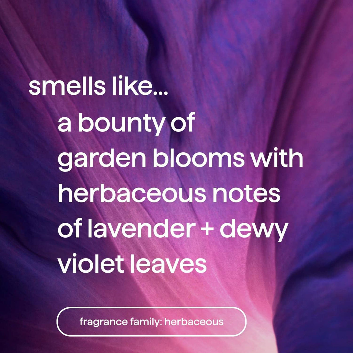 Violet and lavender candle scent promo on purple fabric