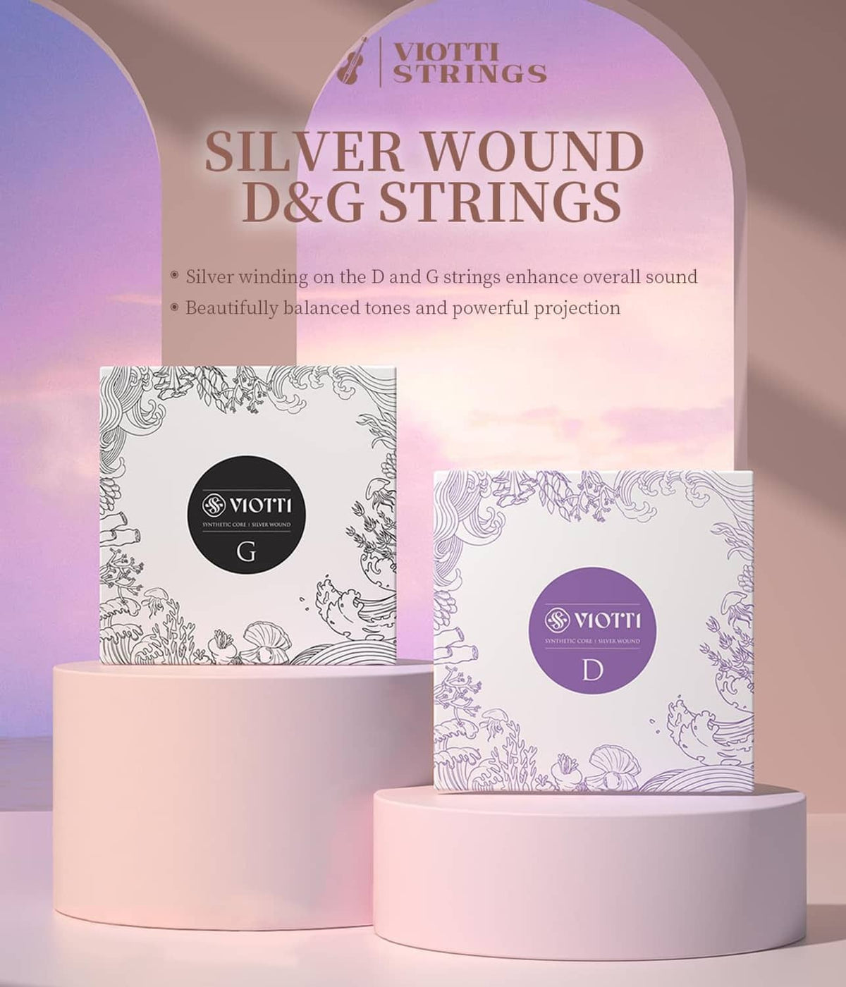 Silver wound D & G violin strings packaging with violet D label and D/G boxes