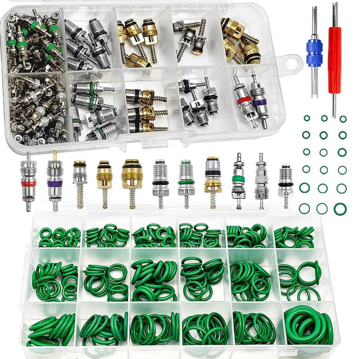 Green rubber O-ring repair kit in divided organizer case with mixed valve stems