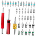 Air conditioning valve core kit with red-and-silver core remover and valve cores