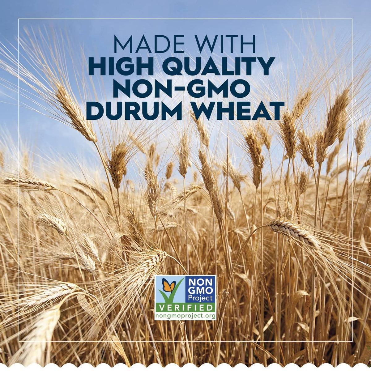Non-GMO Project verified durum wheat product claim