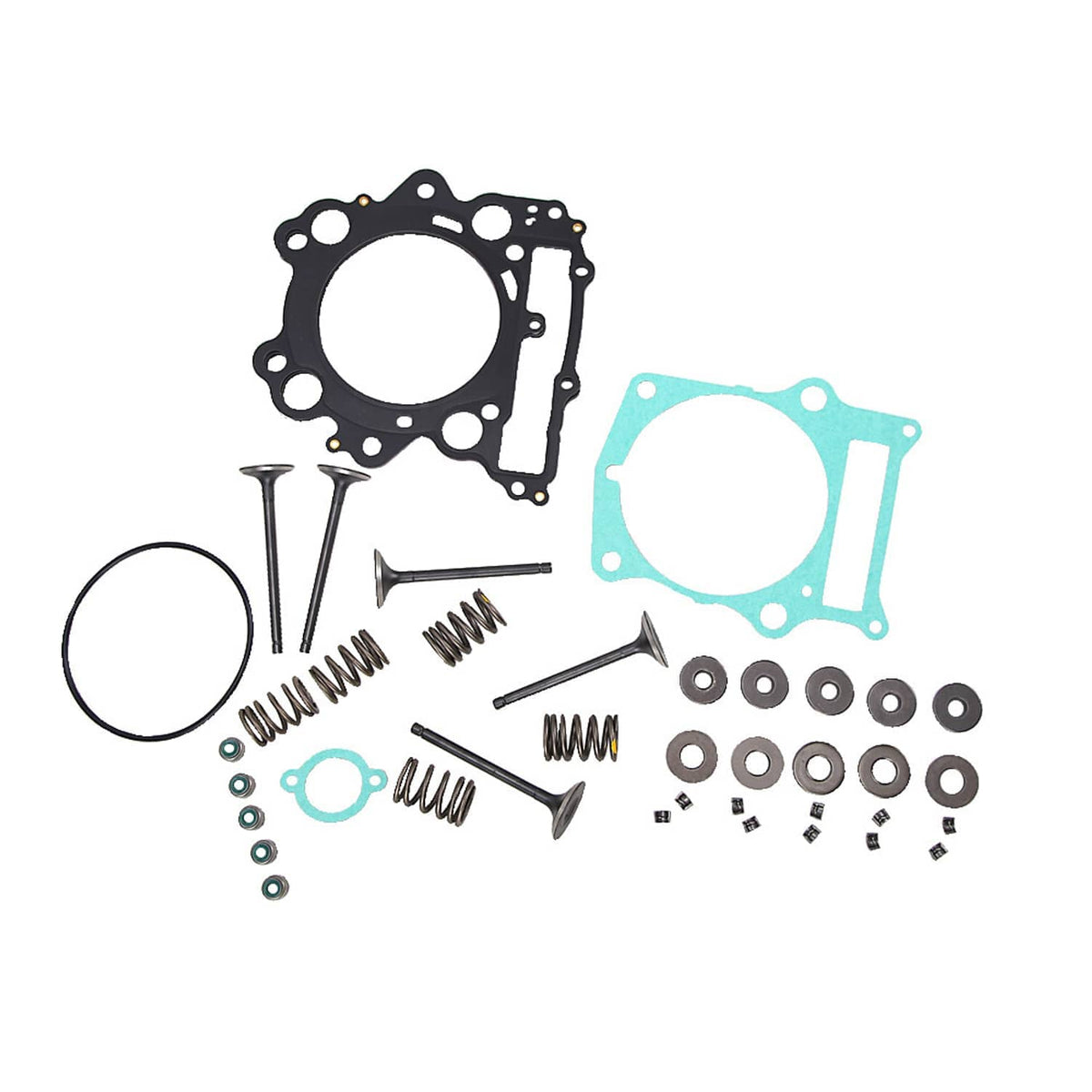 Loose engine gasket parts with black gasket plate, blue gasket, rings, and small hardware