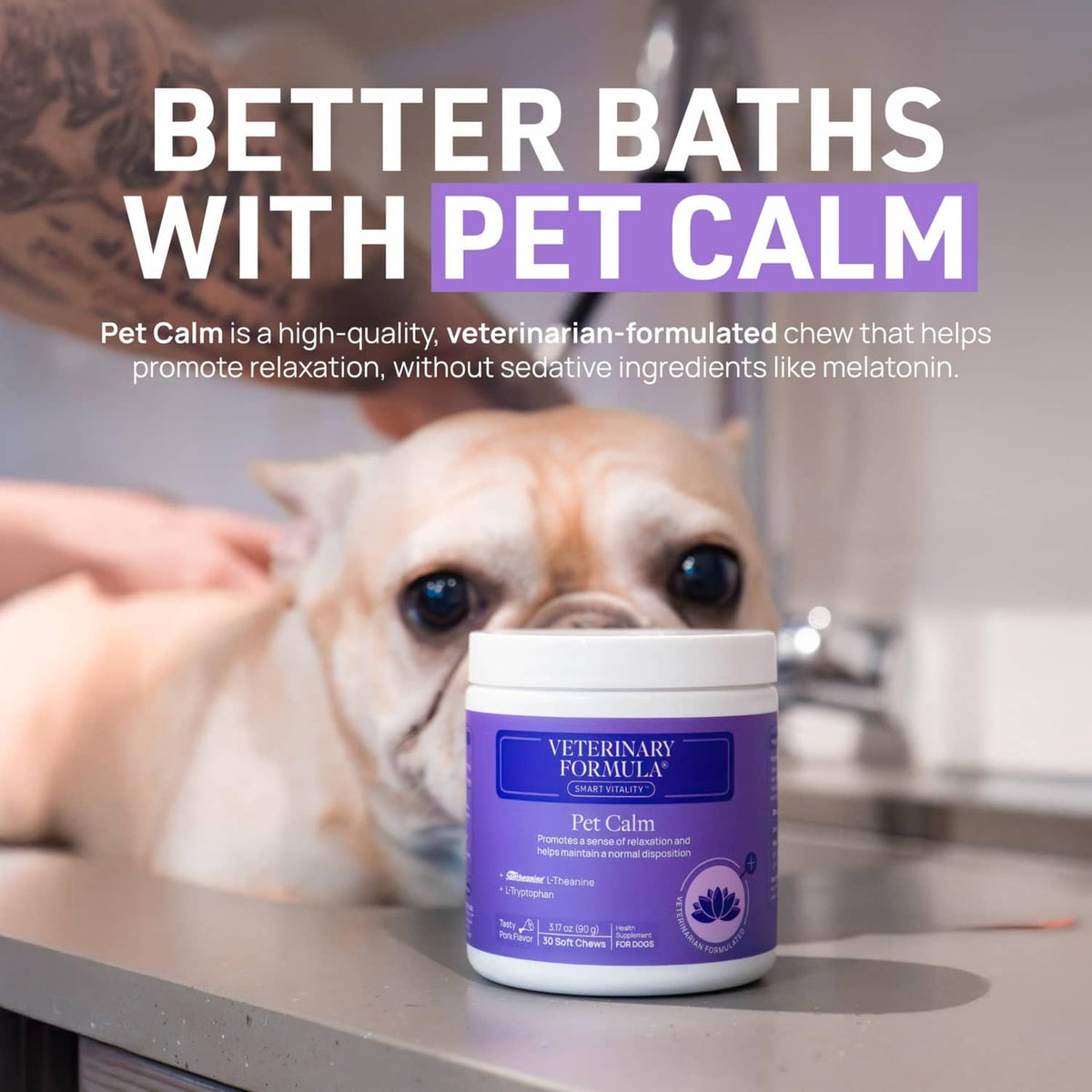 Veterinary Formula Pet Calm chew jar with purple label
