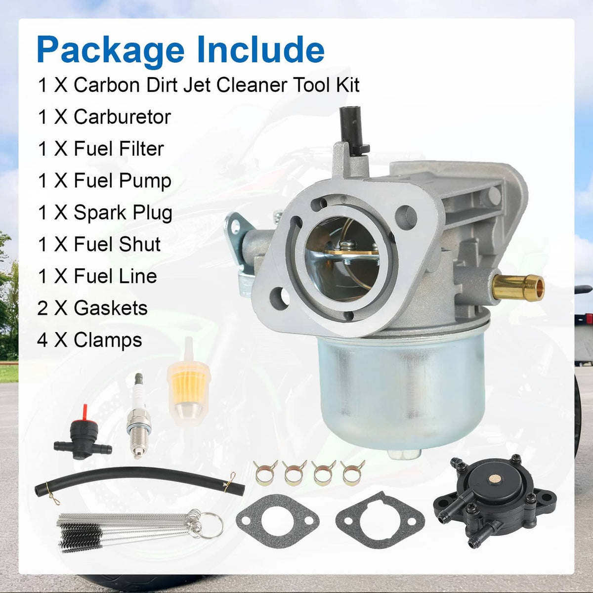 Carburetor kit with carburetor, fuel filter, fuel line, clamps, and plug