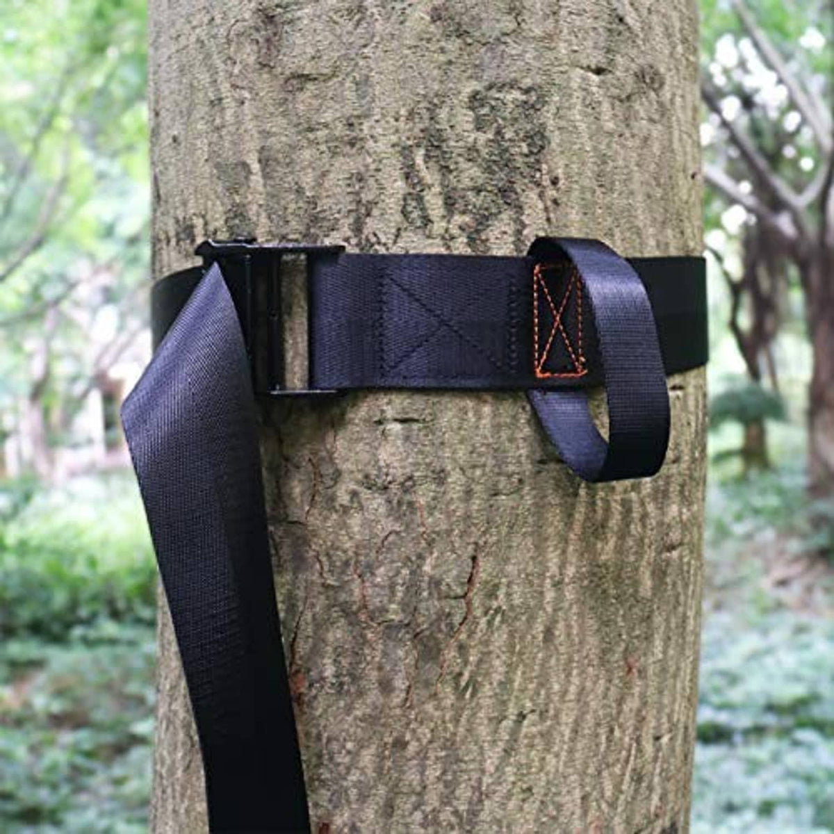 Navy tree strap with buckle and orange stitch detail, wrapped around a tree trunk