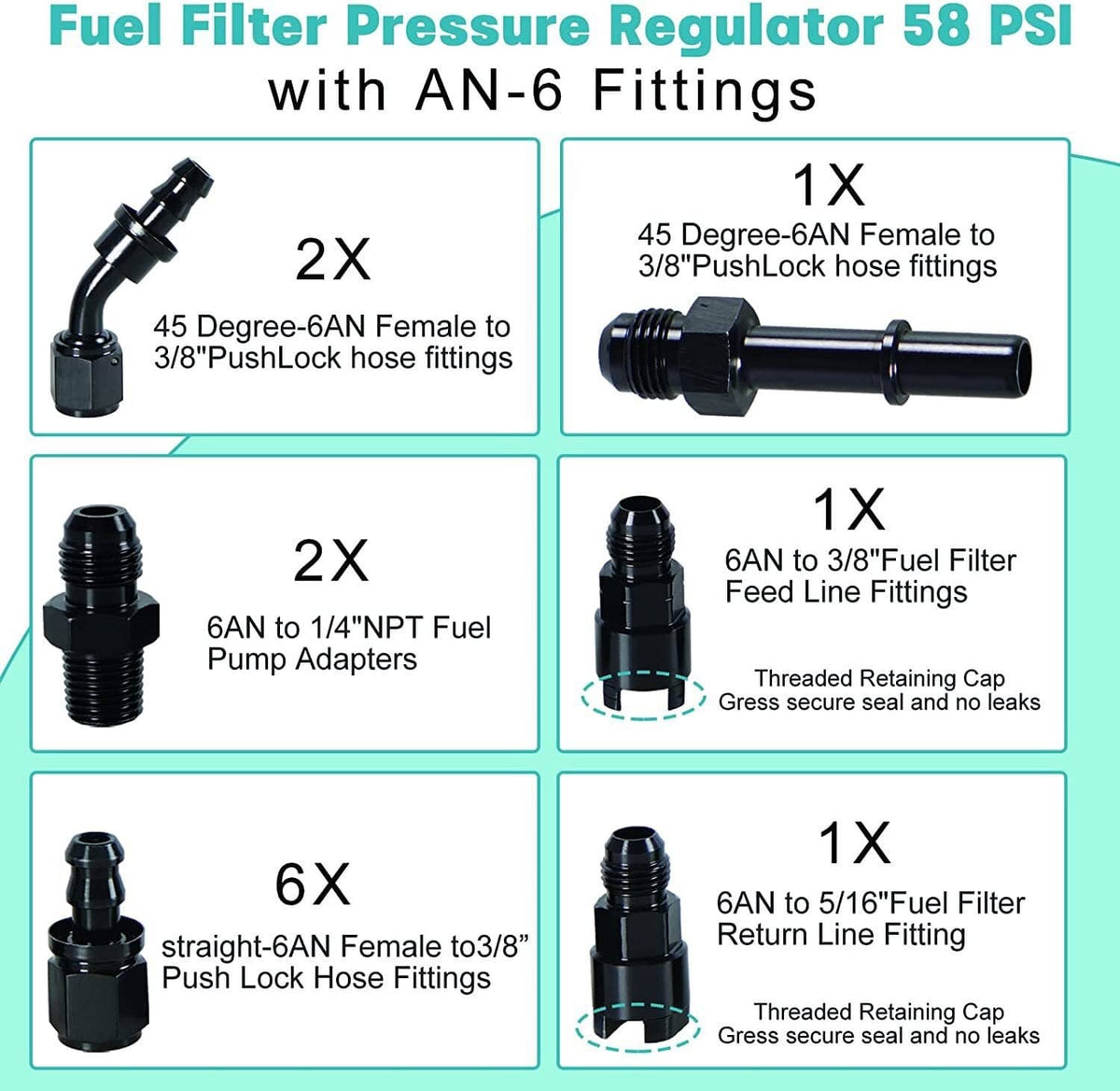 Fuel filter pressure regulator kit with AN-6 fittings and push-lock hose adapters