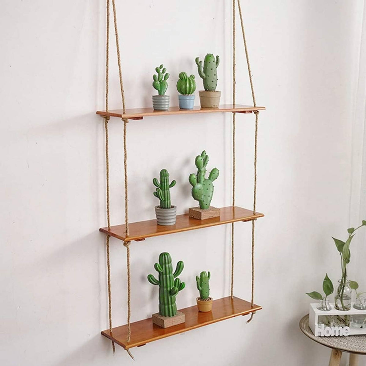 Natural jute rope supports a wall-mounted shelf ladder with small potted cactus plants.