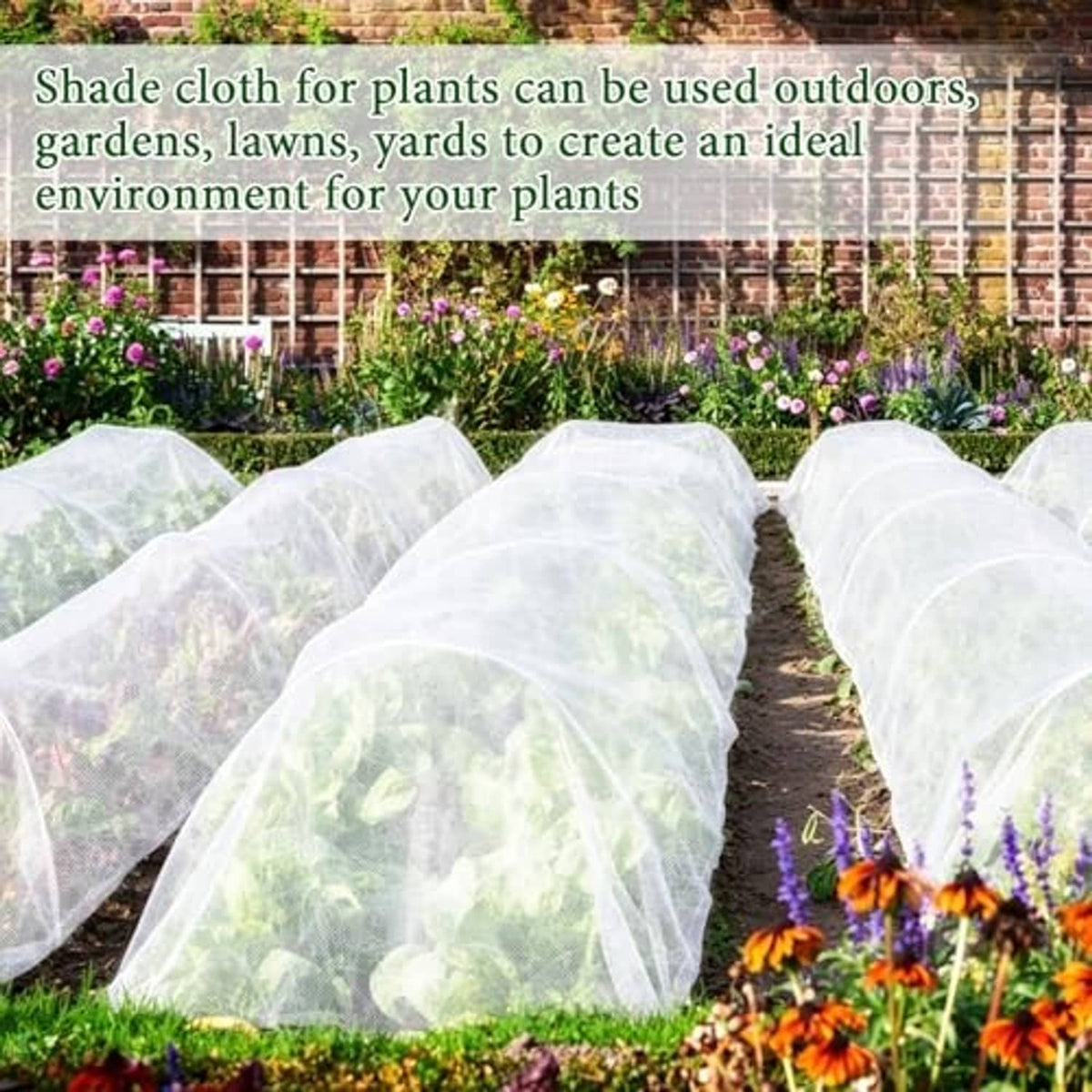 Multiple white shade cloth covers over garden rows, forming rounded protective tunnels.