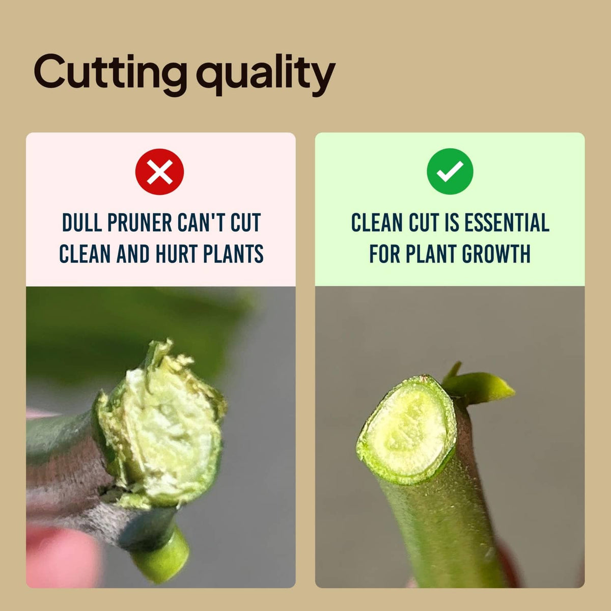 Pruning shears cutting close-up showing clean slice on a plant stem