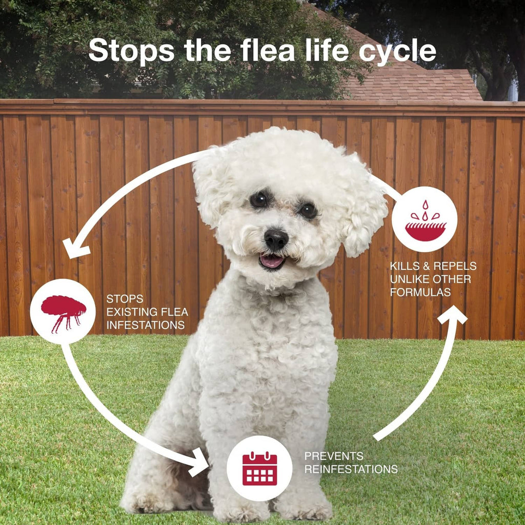 K9 Advantix II topical flea and tick treatment with white dog infographic