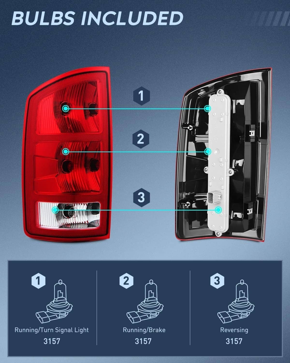 Tail light pair diagram showing red running/brake/reverse/turn functions