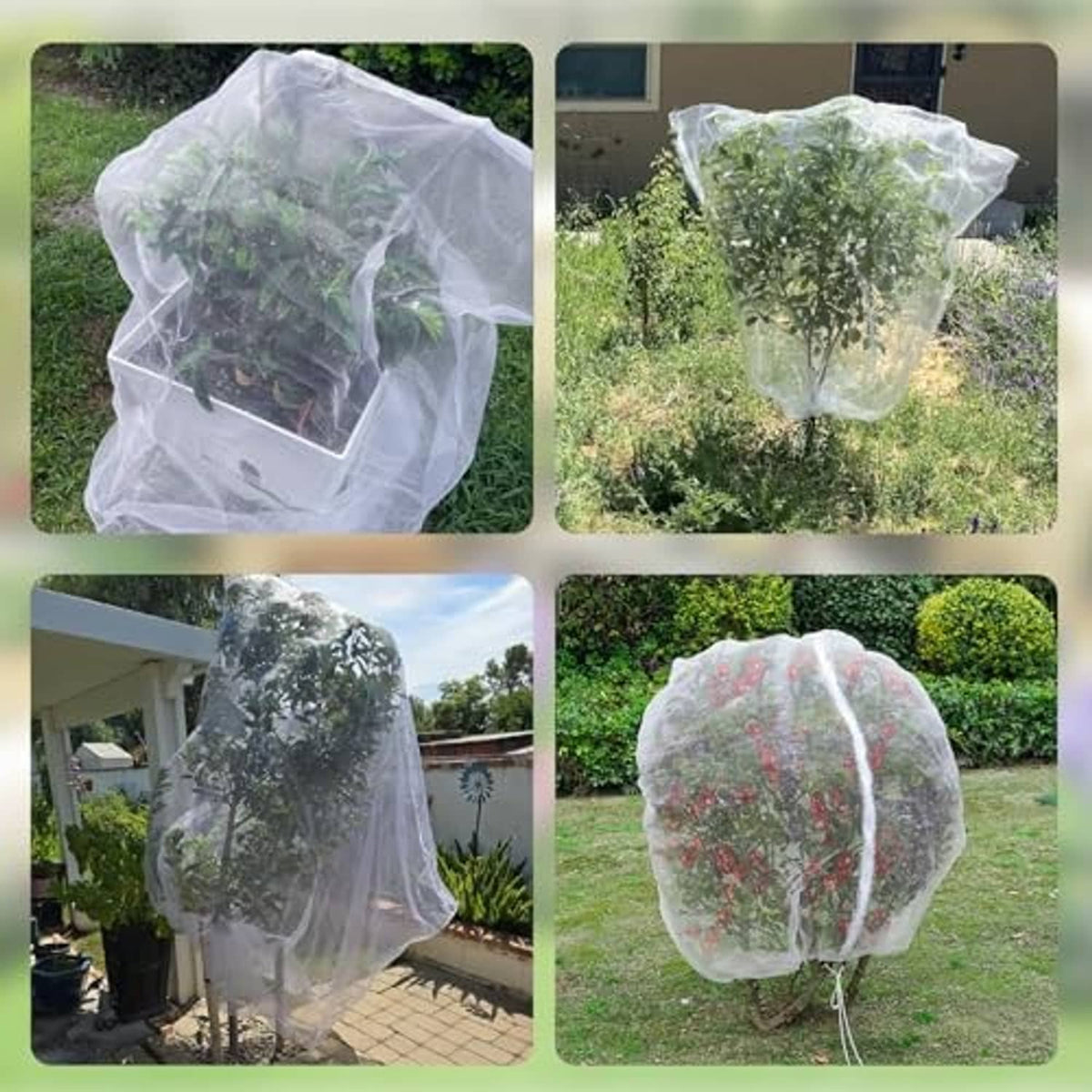 White mesh plant covers set, zipper-style domes over garden plants and shrubs