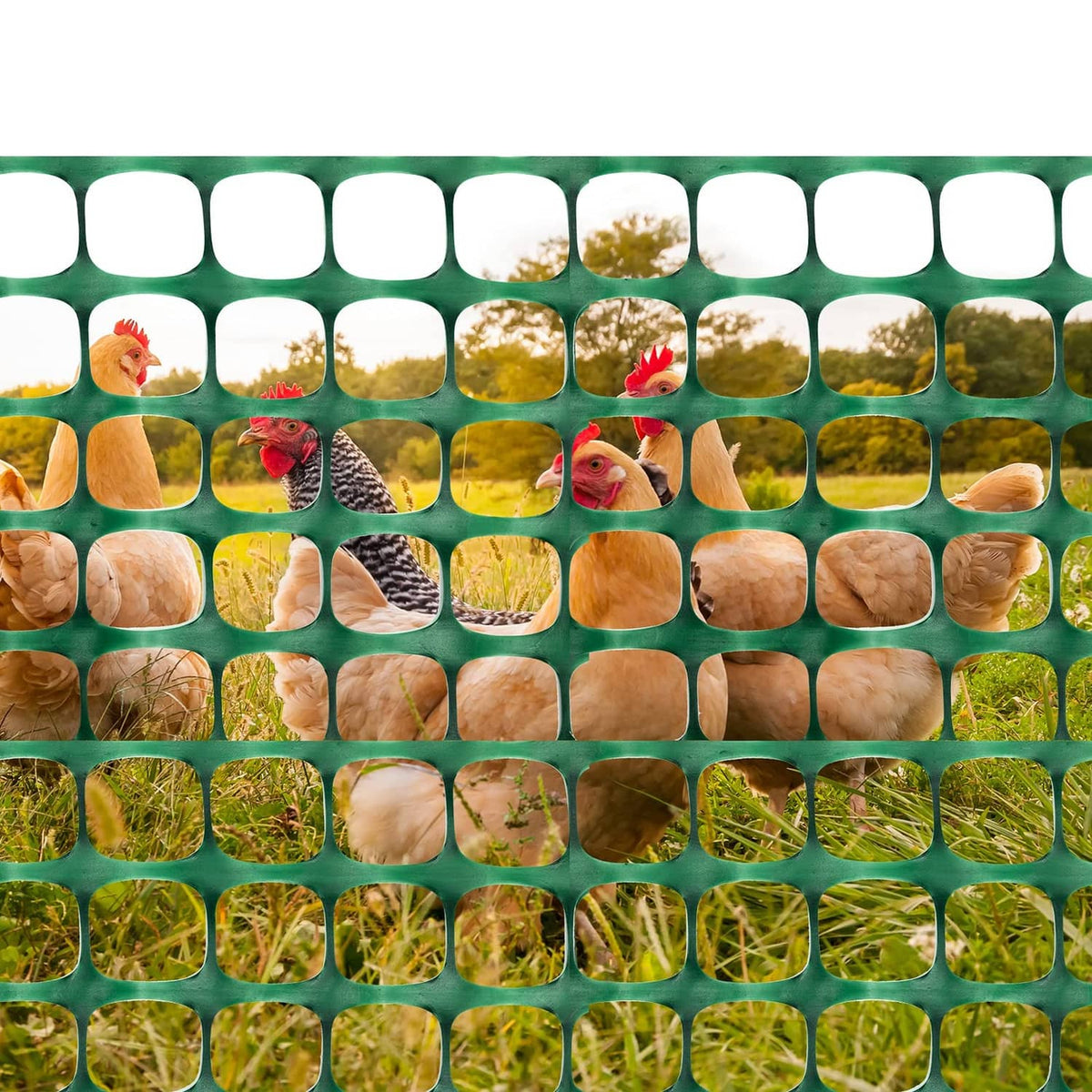 Green plastic mesh safety fence barrier with chickens behind square openings