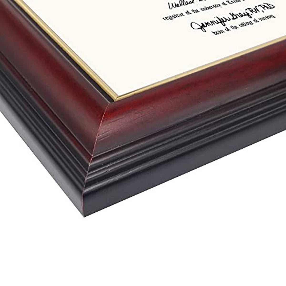 Corner close-up of cherry wood diploma frame with gold inner edge and beveled molding