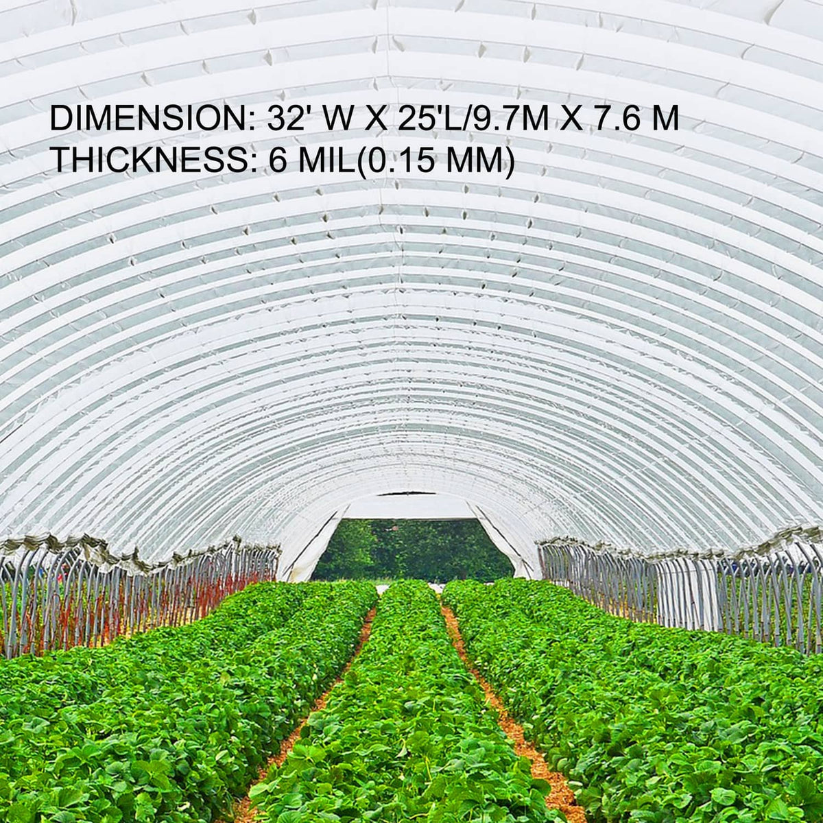 White greenhouse film stretched over arched rows with ribbed ridges visible