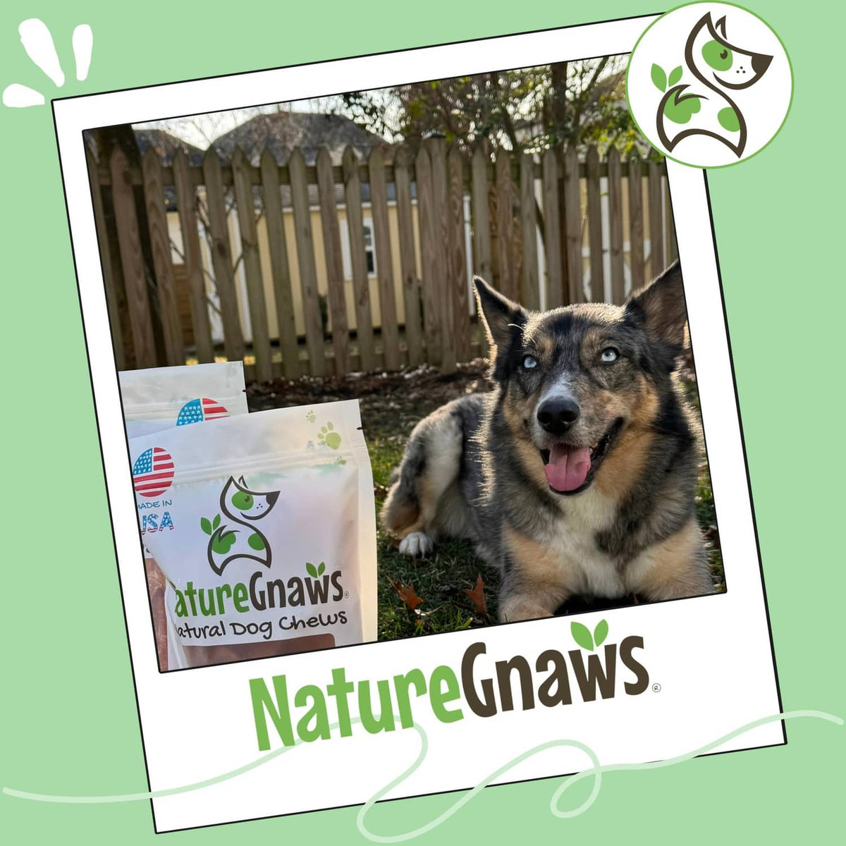 Turkey tendon ring dog chew pouch beside a happy dog outdoors, ring chew visible