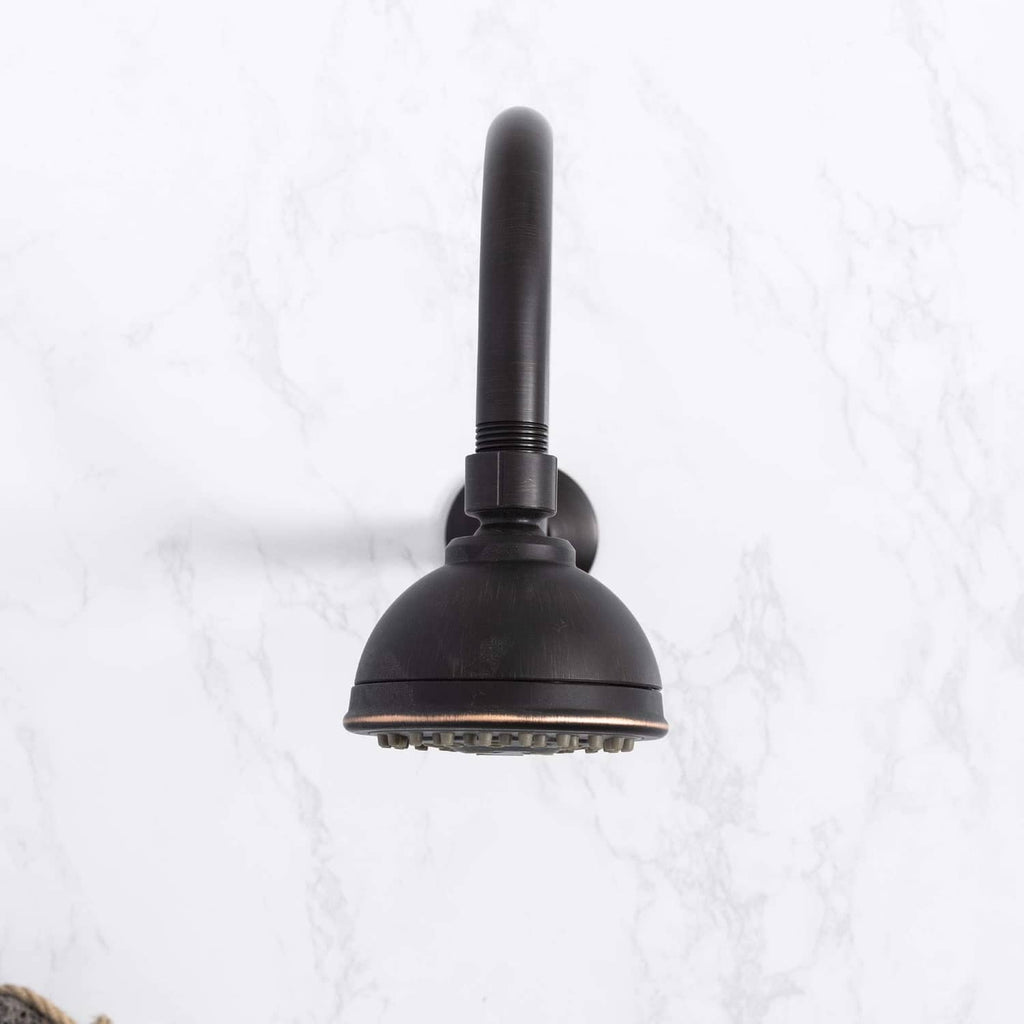 Oil-rubbed bronze shower head with round spray face and dark connection neck