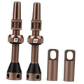 Tubeless Presta valve stem set, bronze color with caps and locking base pieces