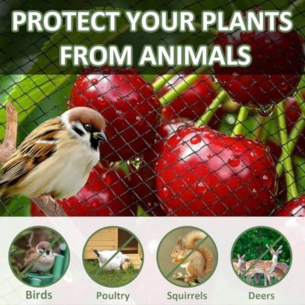 Garden netting stretched over fruit to help block animals, showing square mesh.