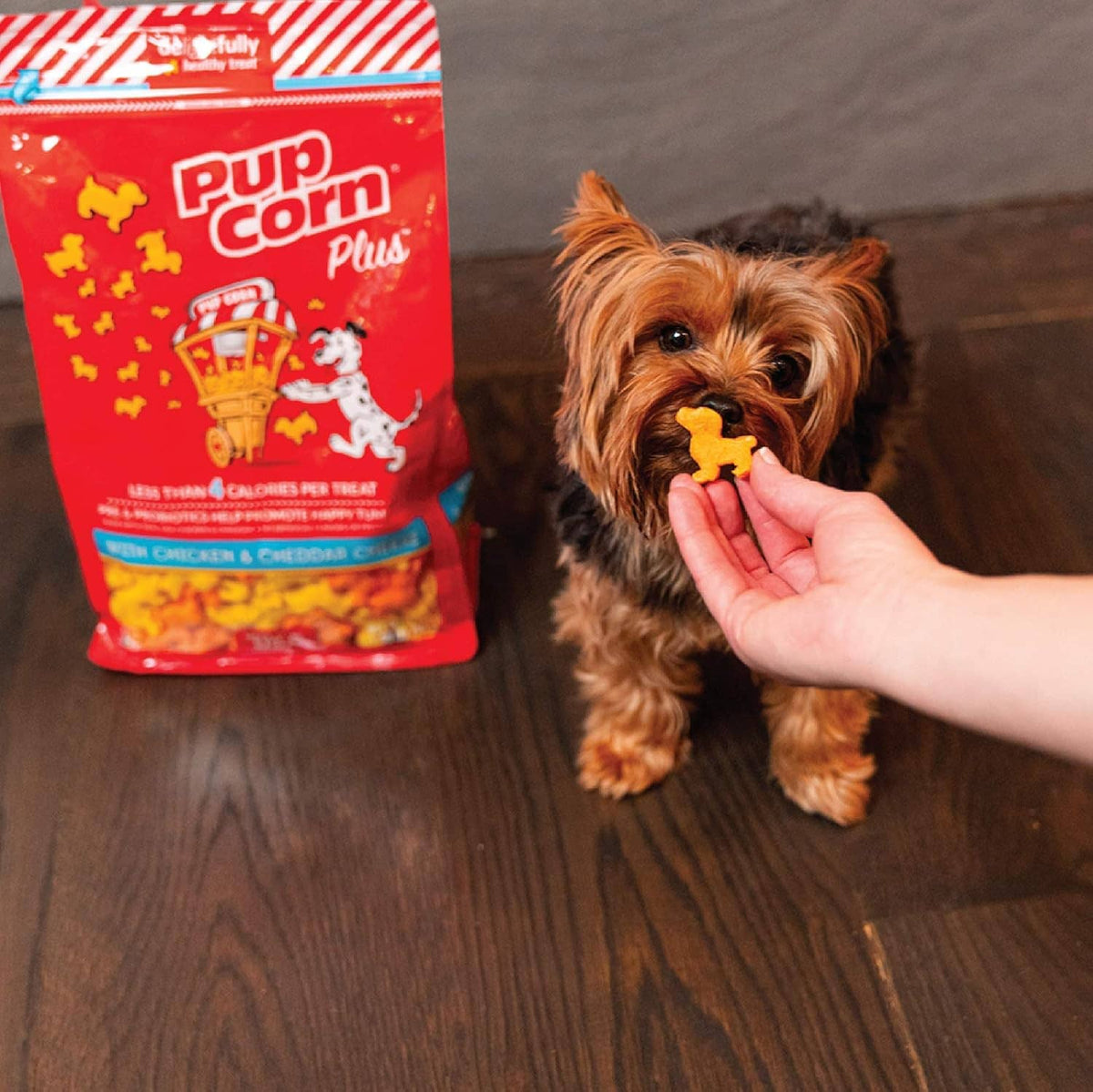 Red Pup Corn Plus dog treat bag with small terrier reaching for treat from hand