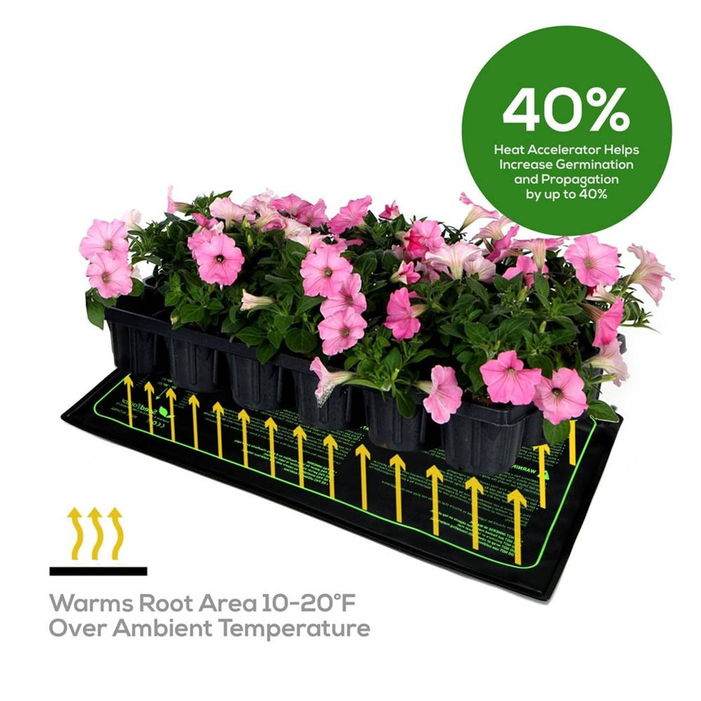Seedling heat mat warming a planting tray with pink flowering seedlings