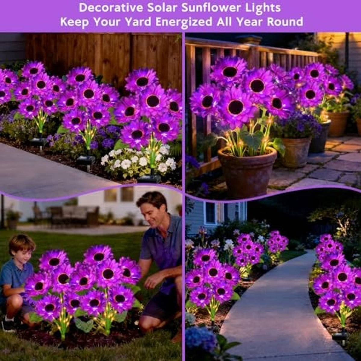 Purple decorative solar sunflower lights in multiple outdoor garden spots with black stake bases.