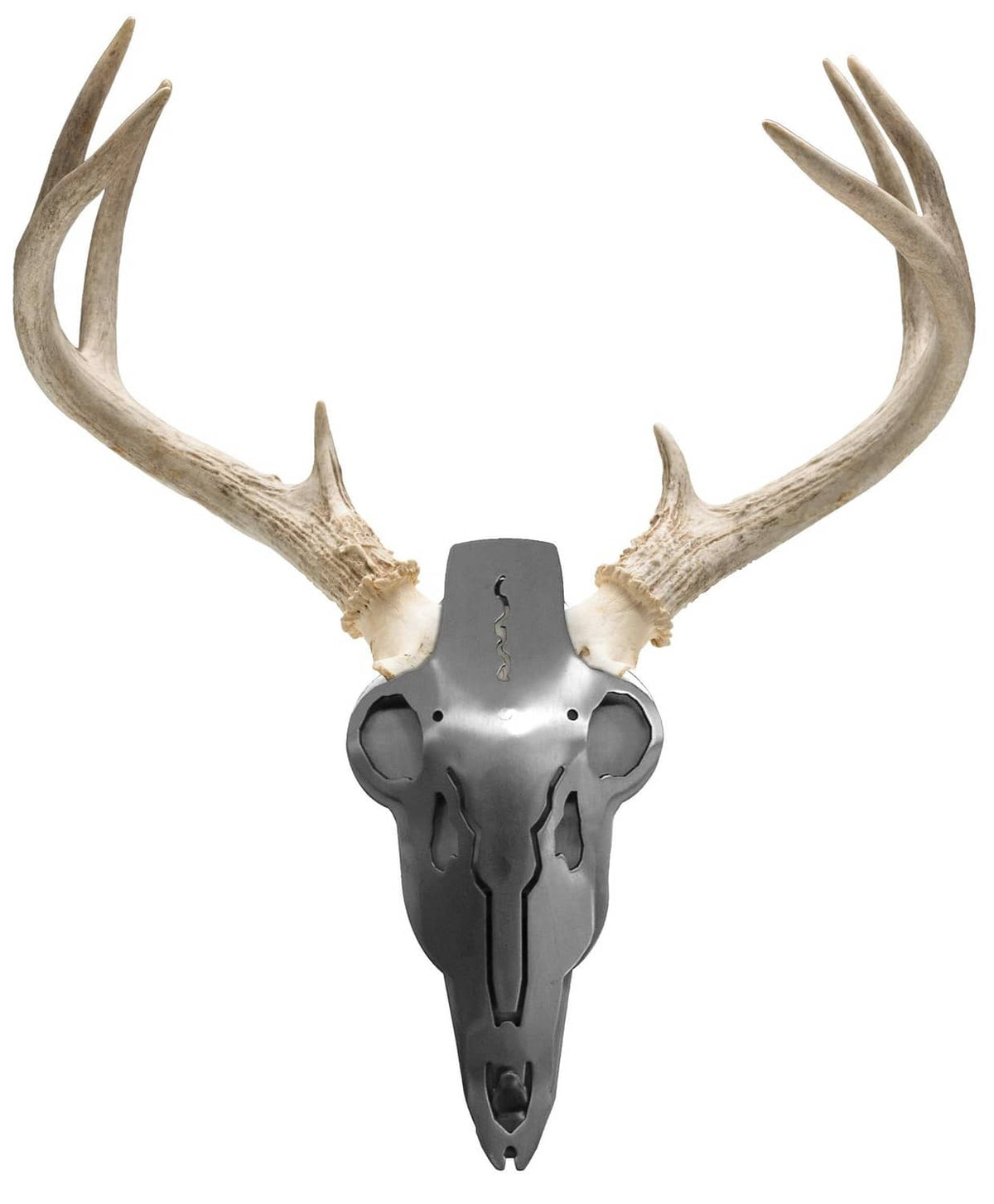 Mounted deer head ornament with brown antlers and silver skull plate