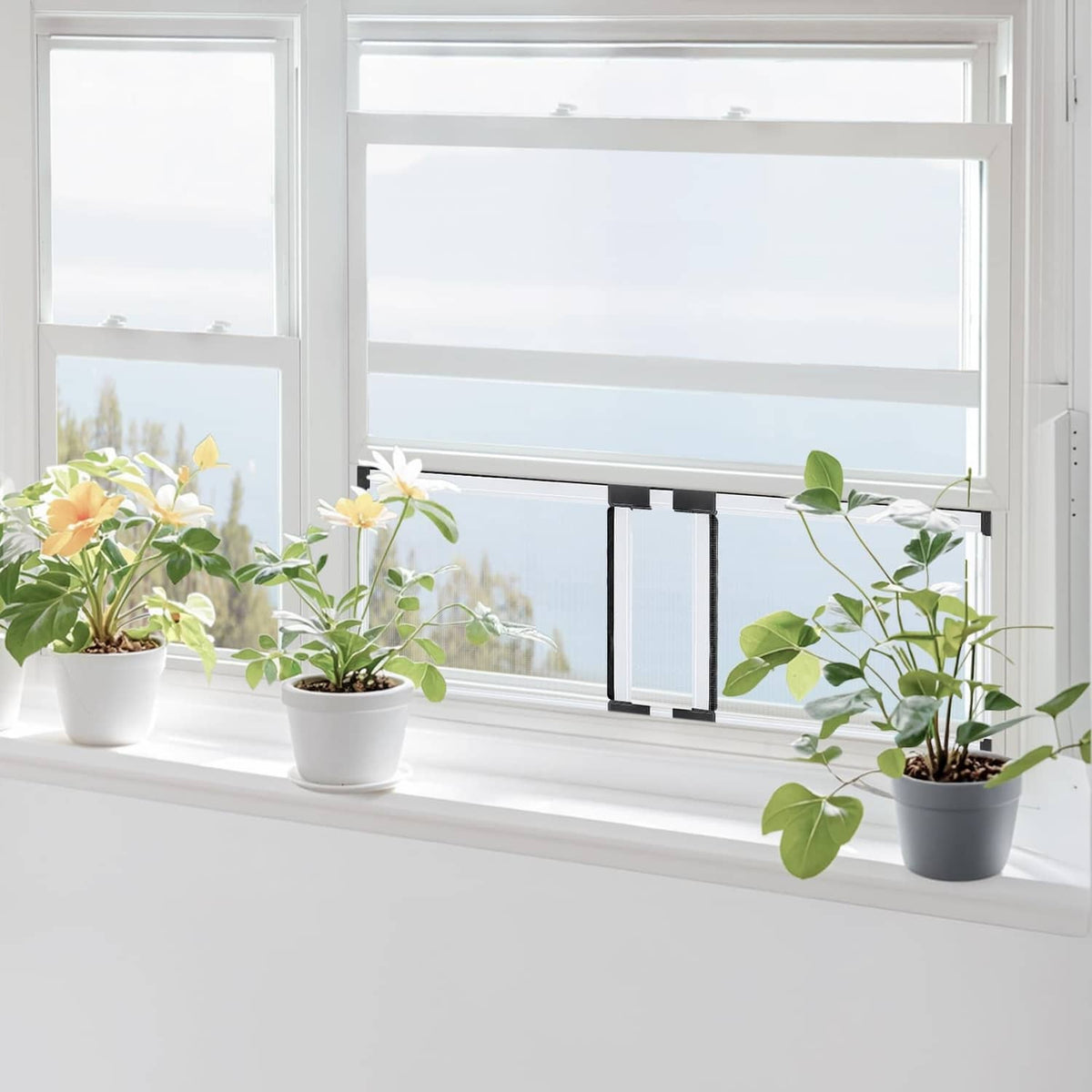 Adjustable window screen across window with black frame and grey mesh panels