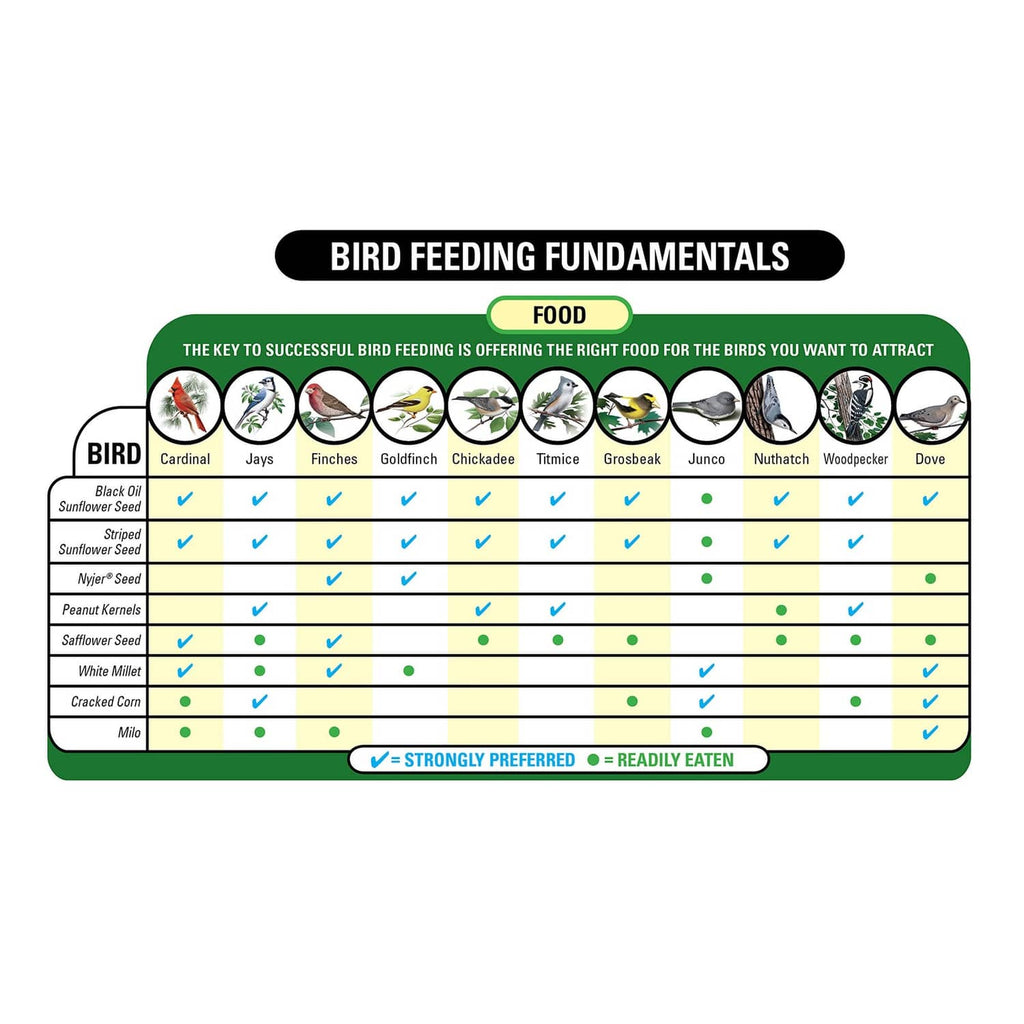Bird feeding fundamentals chart showing food types for different backyard birds