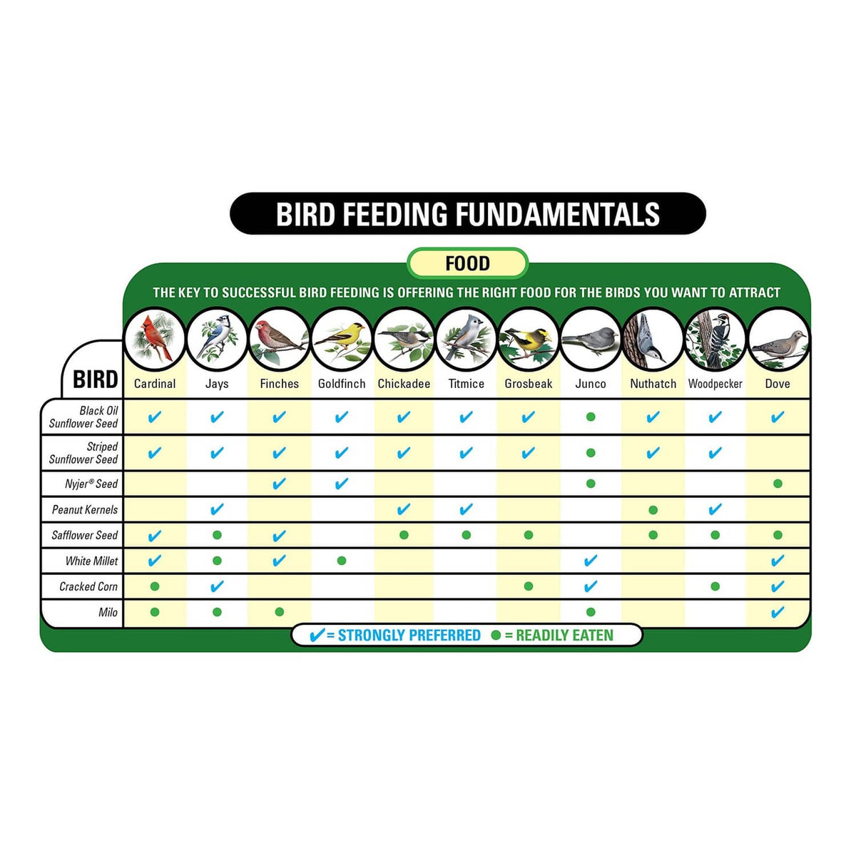 Bird feeding fundamentals chart showing food types for different backyard birds